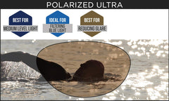 ZOGGS PREDATOR POLARIZED ULTRA REGULAR